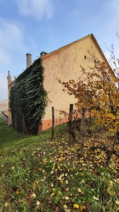 Árcsökkenés! 19.századi Présház Szekszárd kapujában, ahol a történelem és a bor találkozik. 4