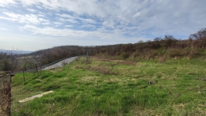 Görögszó - külterületi panorámás ingatlan 12