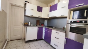 Őcsény Fő utcáján családi ház + kisház és egy 90m2-es műhely Eladó 10