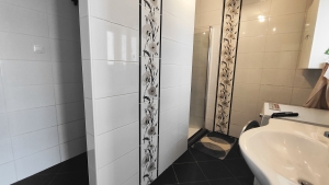 Őcsény Fő utcáján családi ház + kisház és egy 90m2-es műhely Eladó 9