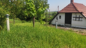ÁRCSÖKKENÉS! Palánki hegy, Hárslevelű dűlő 4
