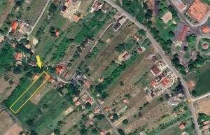 ÁRCSÖKKENÉS! Palánki hegy, Hárslevelű dűlő 2