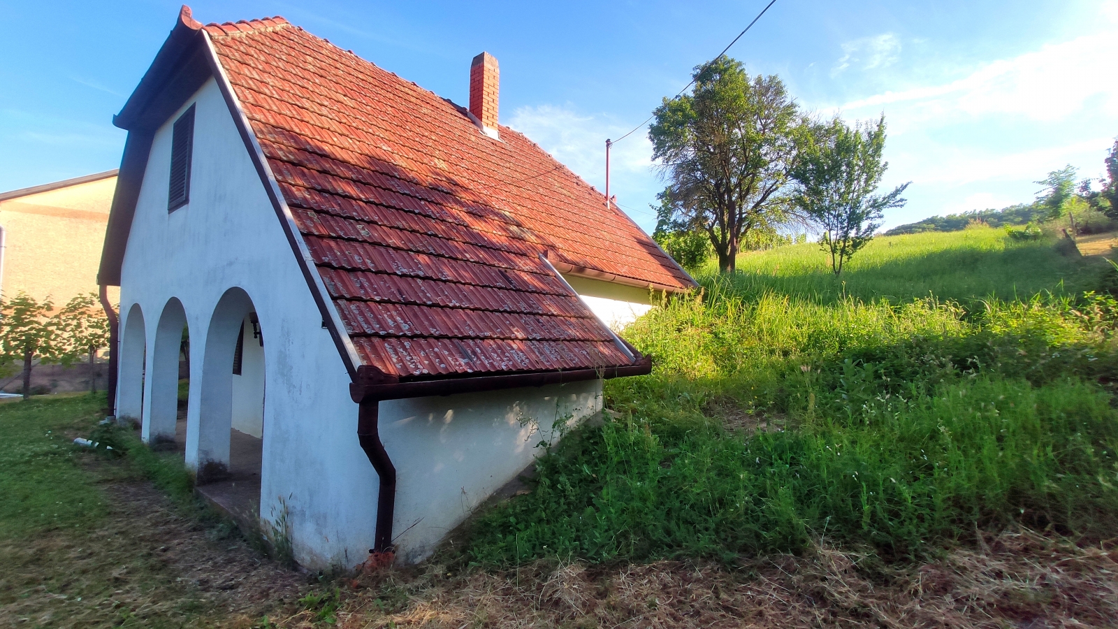 ÁRCSÖKKENÉS! Palánki hegy, Hárslevelű dűlő