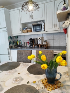 Szekszárd belvárosi, földszinti garzon 9