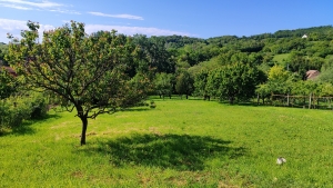 Szekszárd Bethlen G. utca 3220m2-en fekvő komfort nélküli ház eladó. 18