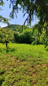Szekszárd Bethlen G. utca 3220m2-en fekvő komfort nélküli ház eladó. 20