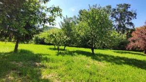 Szekszárd Bethlen G. utca 3220m2-en fekvő komfort nélküli ház eladó. 21