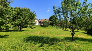 Szekszárd Bethlen G. utca 3220m2-en fekvő komfort nélküli ház eladó. 15