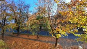 Szekszárd, Első emeleti, felújított téglalakás 17