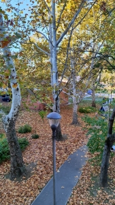 Szekszárd, Első emeleti, felújított téglalakás 18