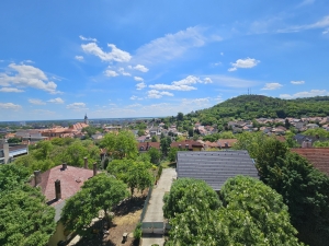 Szekszárd Herman O. felújítandó 57m2 lakás 17