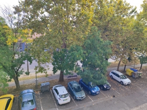 Szekszárd Rákóczi u. felújítandó 55m2-es lakás 15