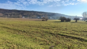 Szekszárd Virág Völgyben, betonút melletti sarokterület eladó 2