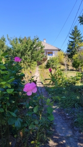 Tolna, Lehel utcai, panorámás ingatlan 2